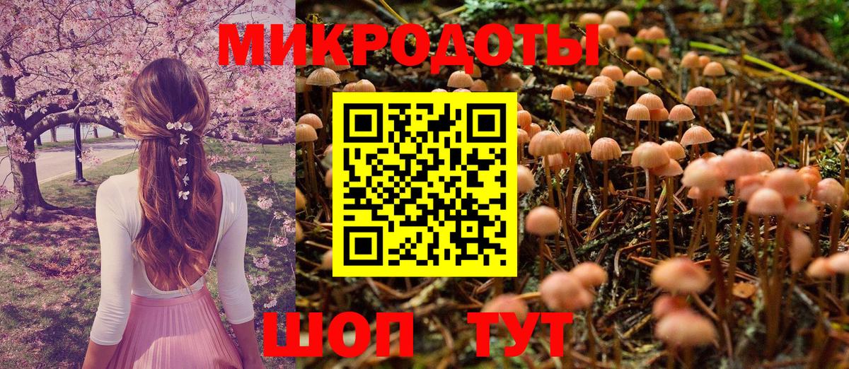 Нефтекумск  Галлюциногенные грибы Cubensis  Вход с VPN 